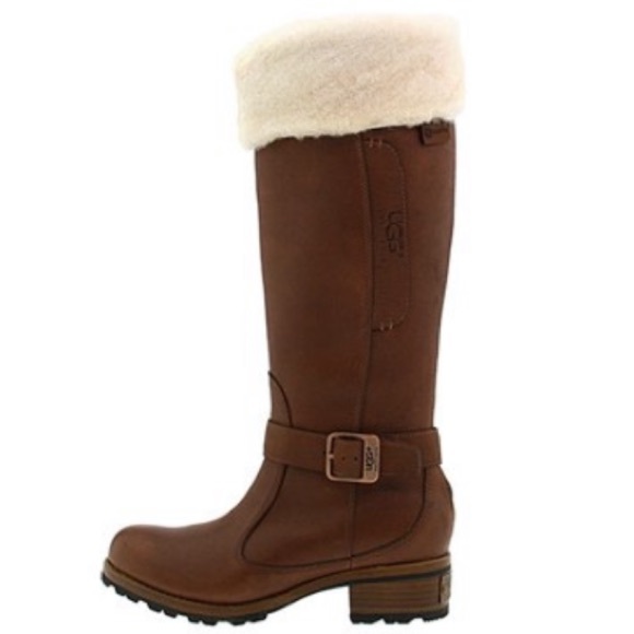 UGG Shoes - Ugg Langley 5608